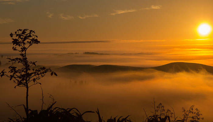 syair, imam syafi'i, shalat subuh, akhir zaman, keturunan rasulullah