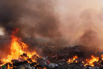 sampah