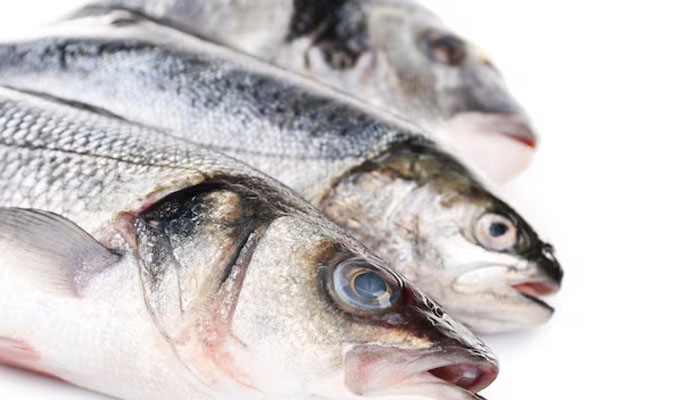 Ciri Ikan yang Tidak Segar