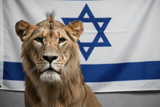 Israel, Daud
