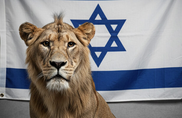 Israel, Daud