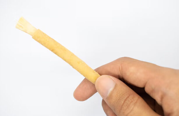manfaat siwak bagi gigi dan gusi, kebersihan mulut