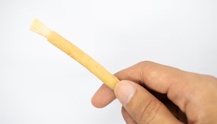 manfaat siwak bagi gigi dan gusi, kebersihan mulut