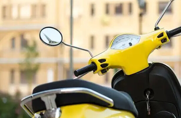 Motor Boros Bensin