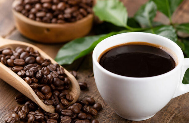 kopi robusta