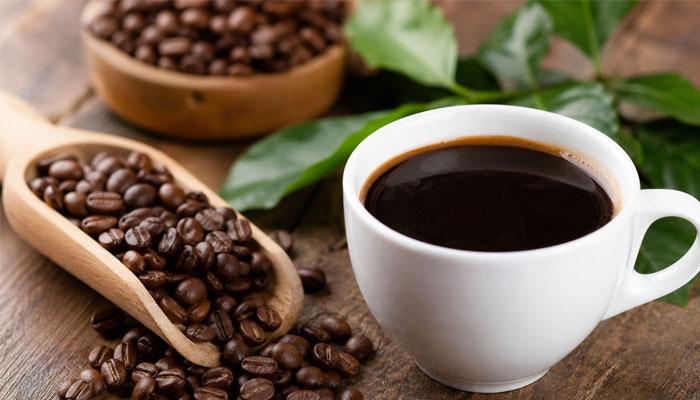 kopi robusta
